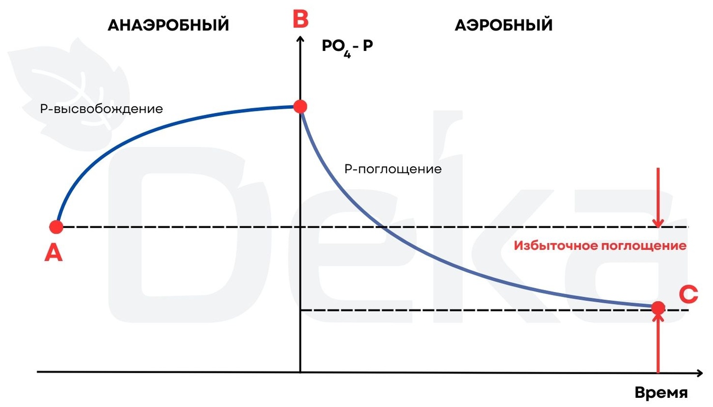 Схема превращений соединений фосфора